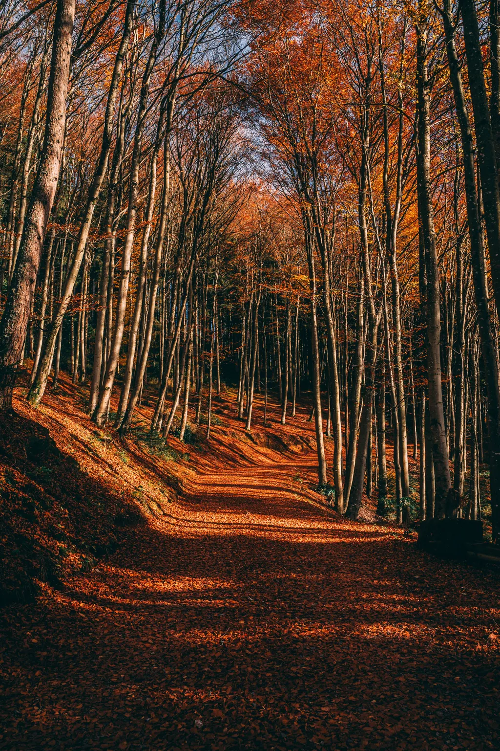 Bild von Patrick für den Spot 1557