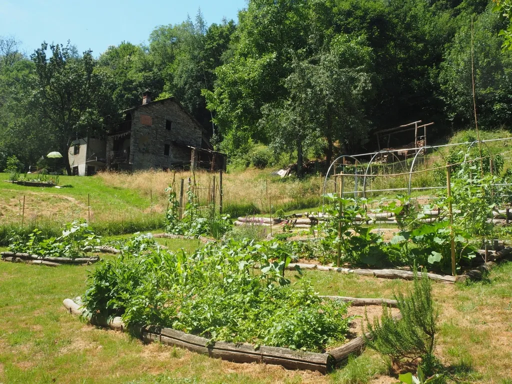 Cozy Vintage Caravan in the Woods - OffGrid Escape
