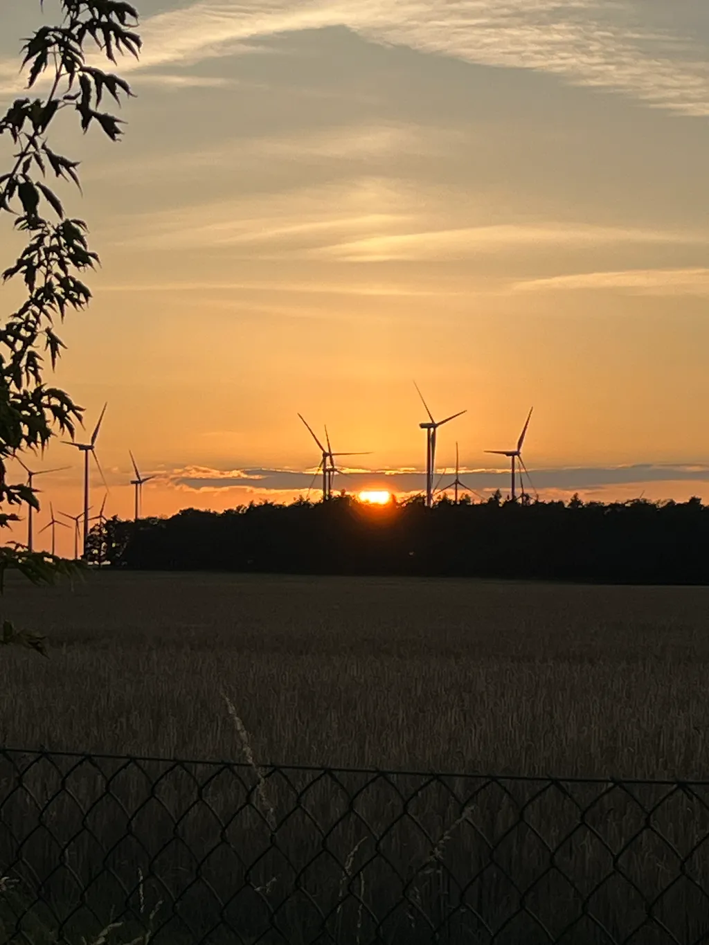 Bild von Matthias für den Spot 2051
