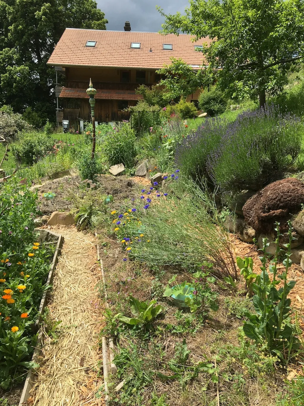 Zimmer mit Outdoorschlafmöglichkeit