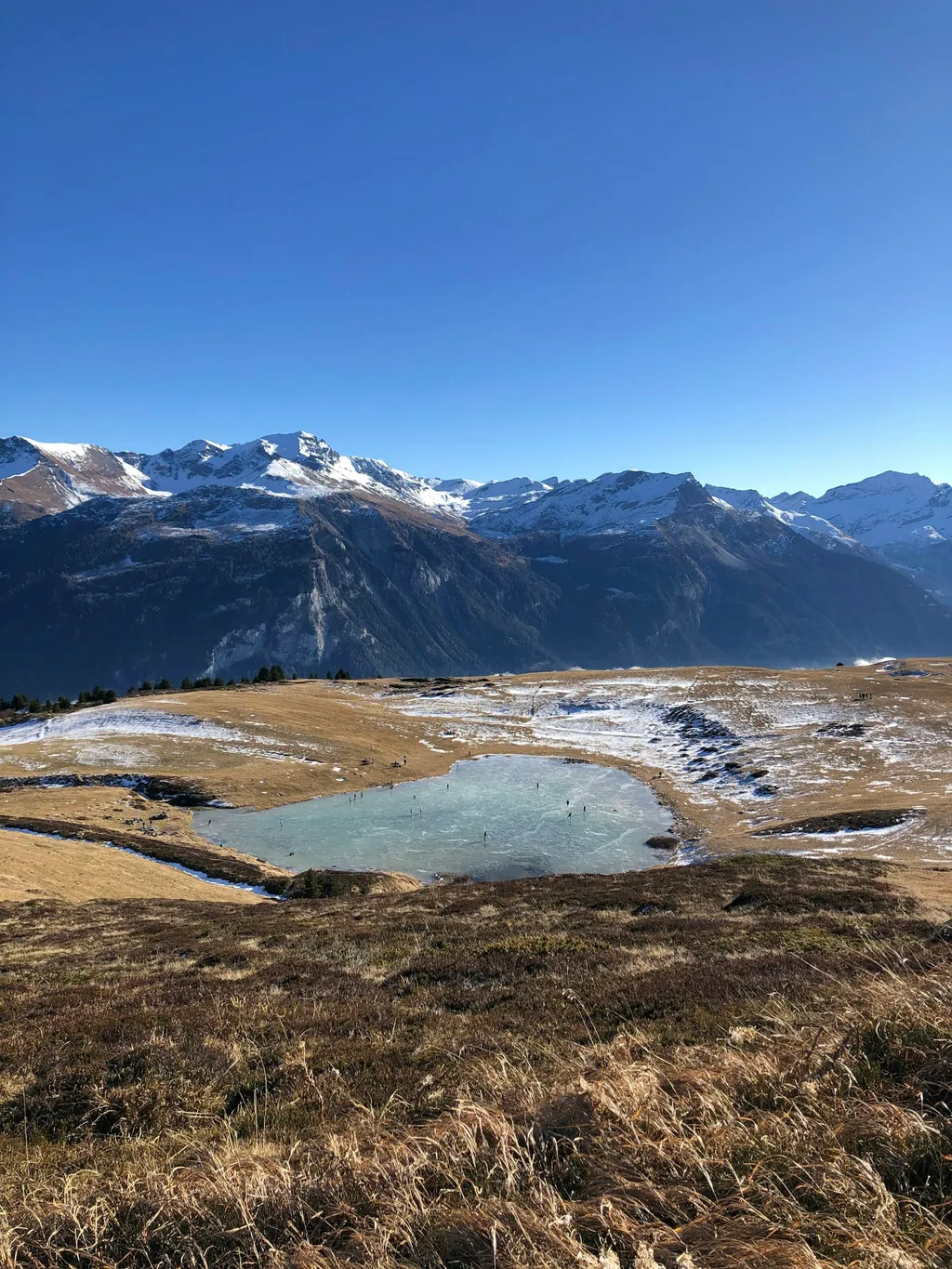 Hütte (Tinyhouse) bei Lohn GR