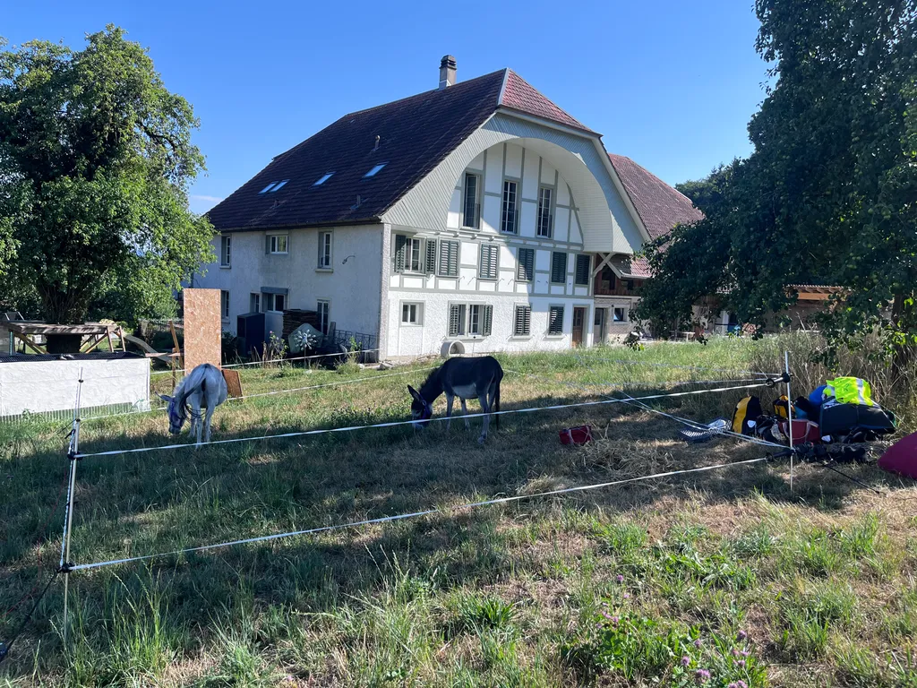 Bild von Annelies für den Spot 5195