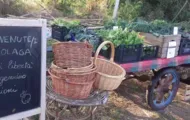 Parking on organic farmland