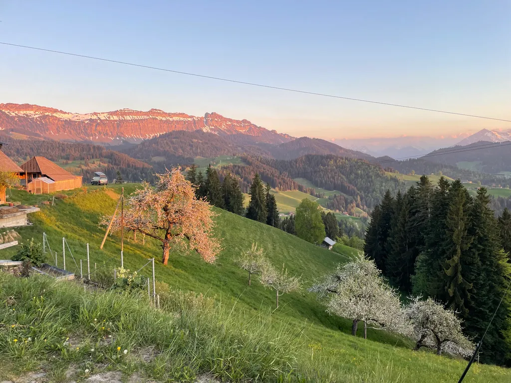 Immagine di Juliane per lo spot 339