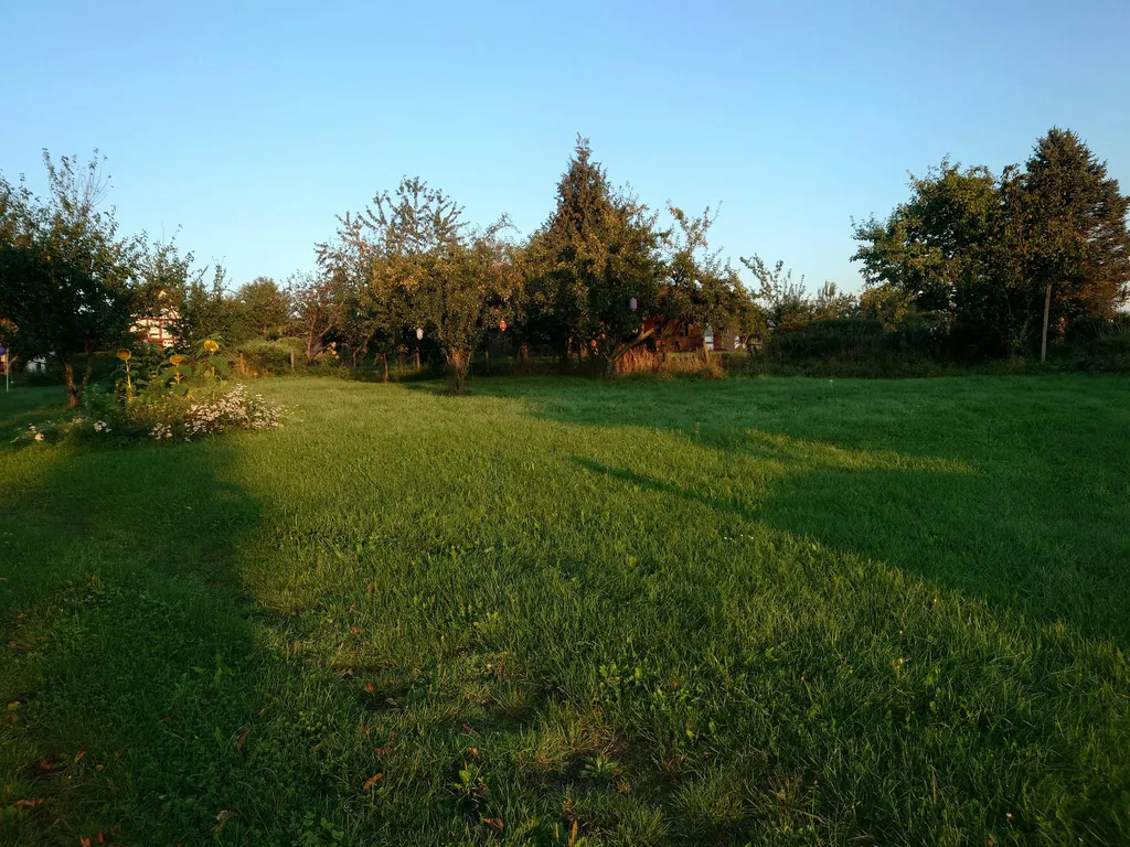 Wiese im Ort mit schönem Ausblick