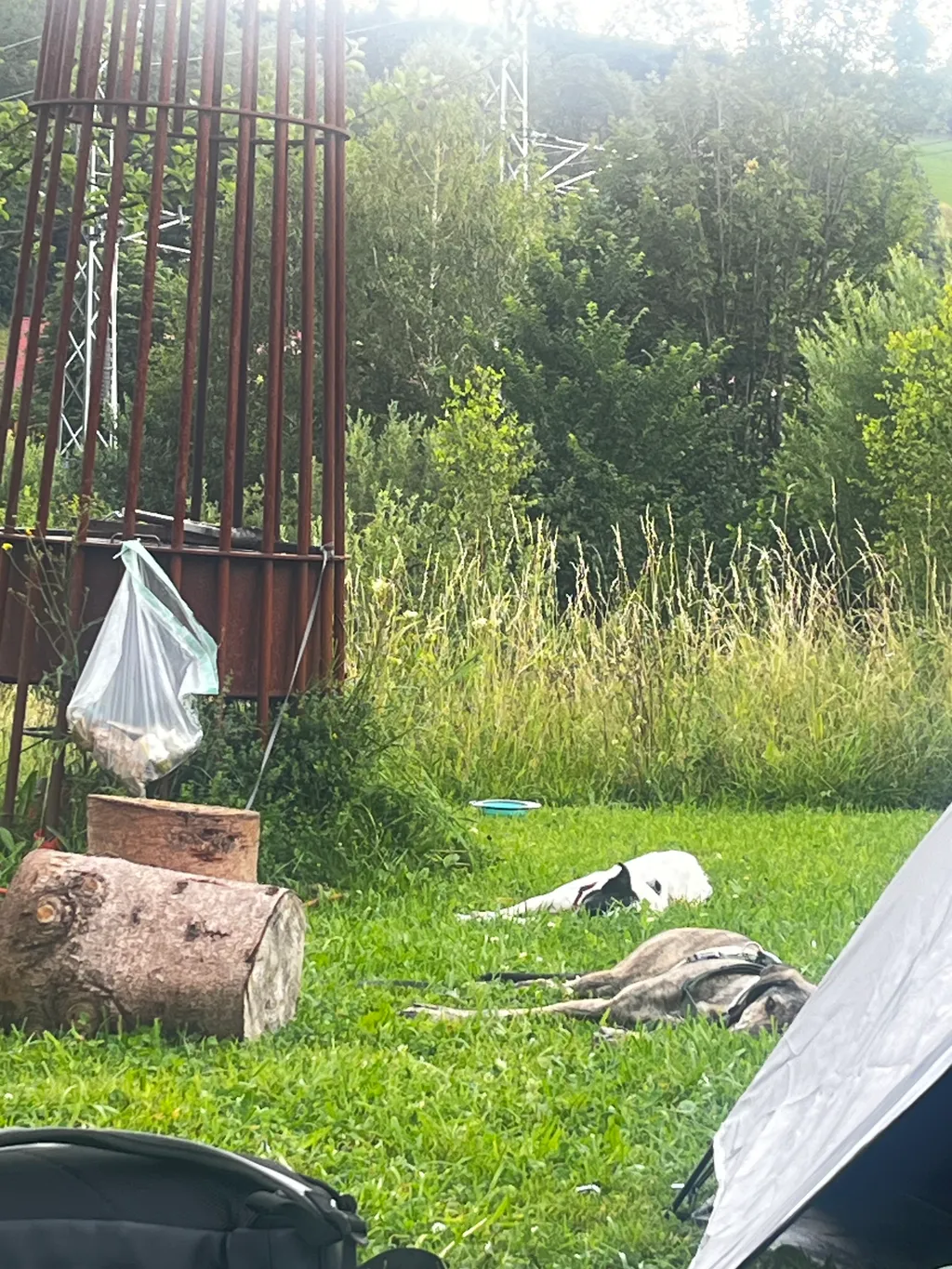 Bild von Jana für den Spot 4652