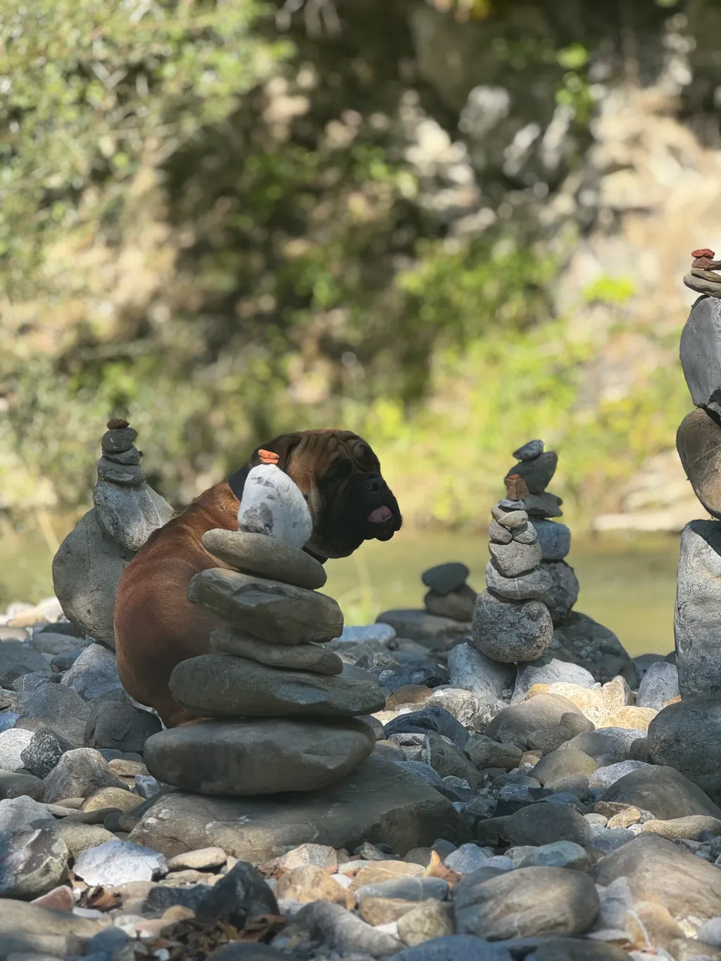 Bild von Roman für den Spot 392