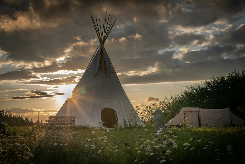 Blumenwiese am Ortsrand