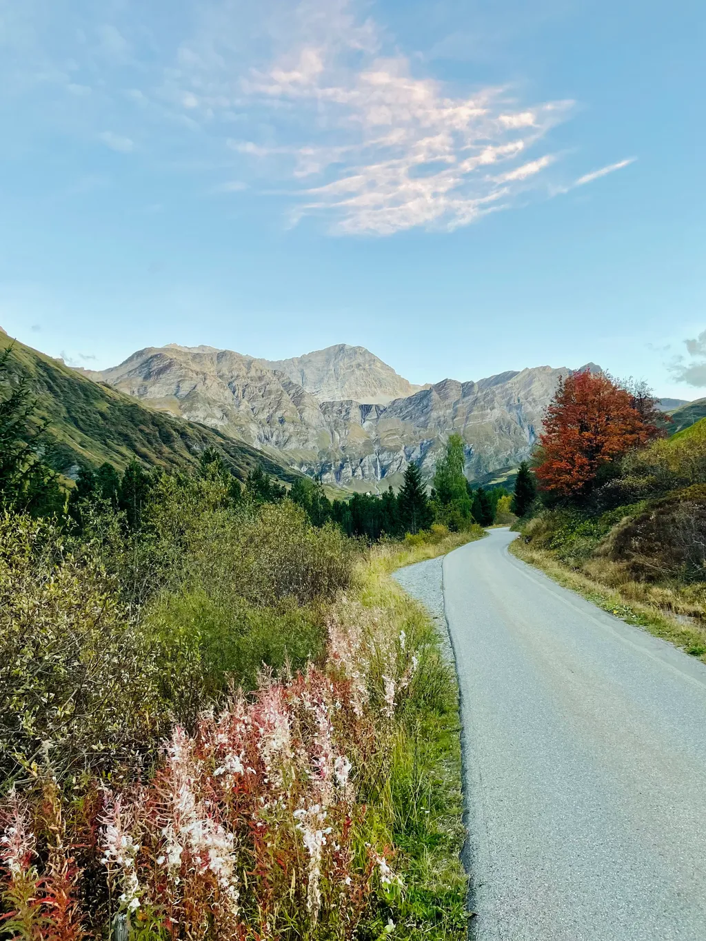 Bild von Samy für den Spot 773