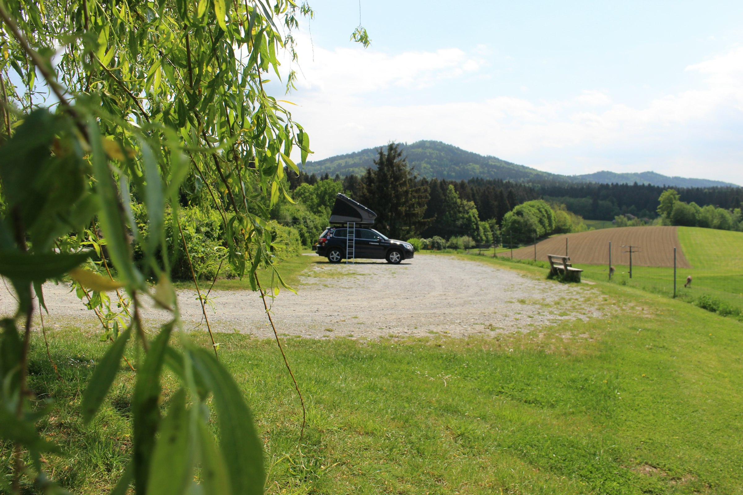 Hirschpark Camp Bayerischer Wald