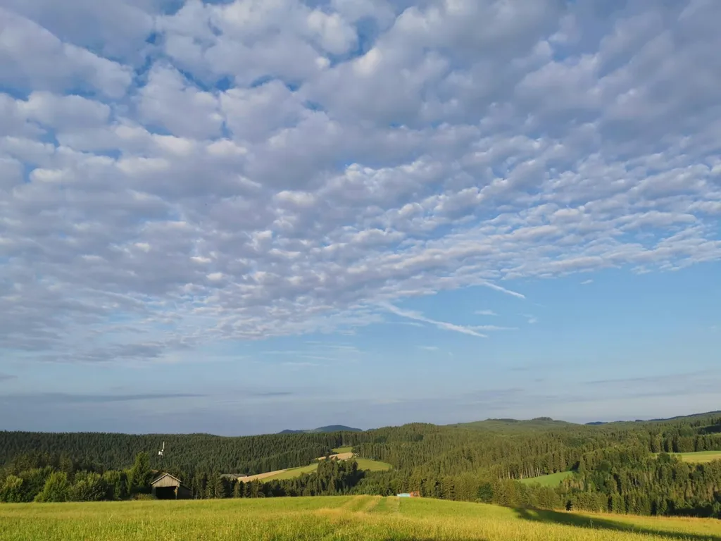 Camping im Waldviertler Hochland