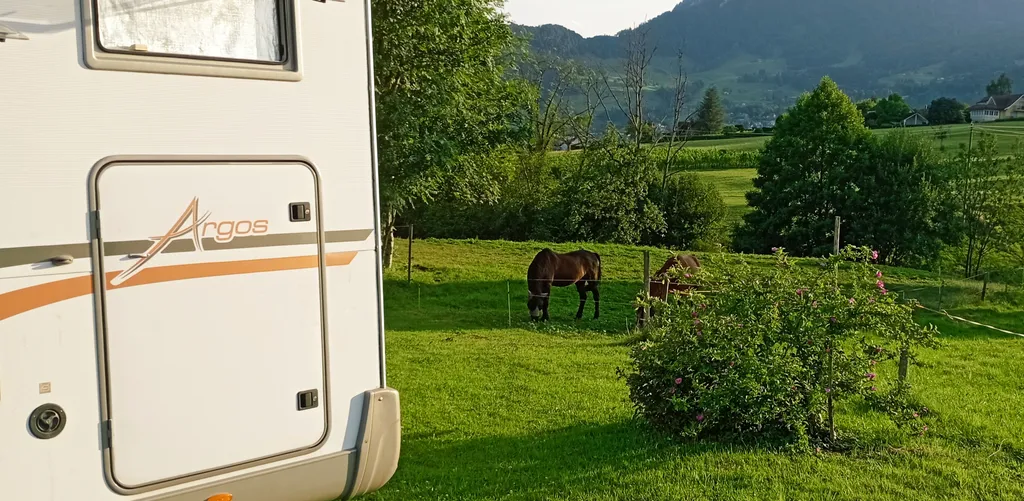 Bild von Pierre für den Spot 131