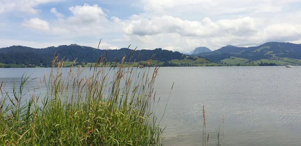 Zelten auf dem Haflingerhof