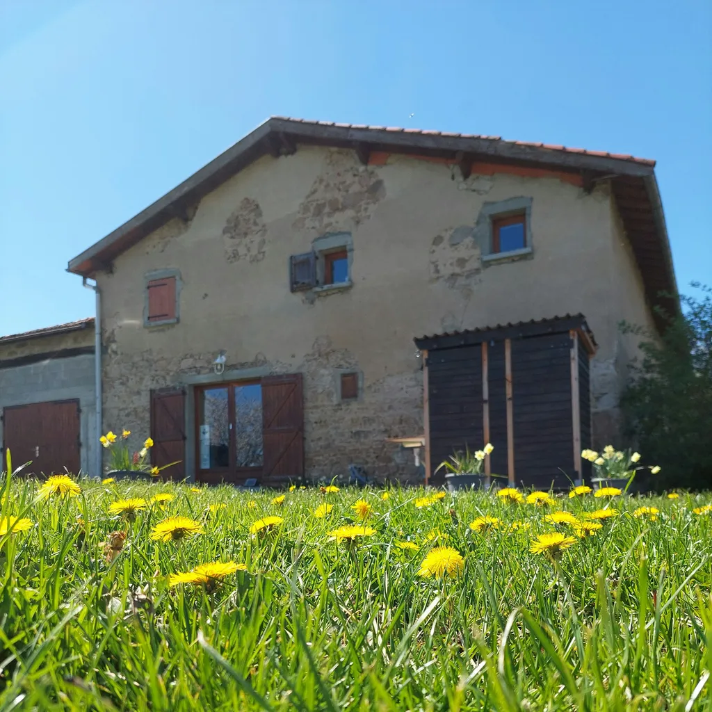 Au pied du bois d'Azole