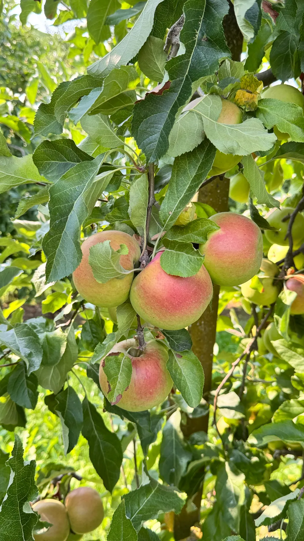 Bild von Claudia für den Spot 1586