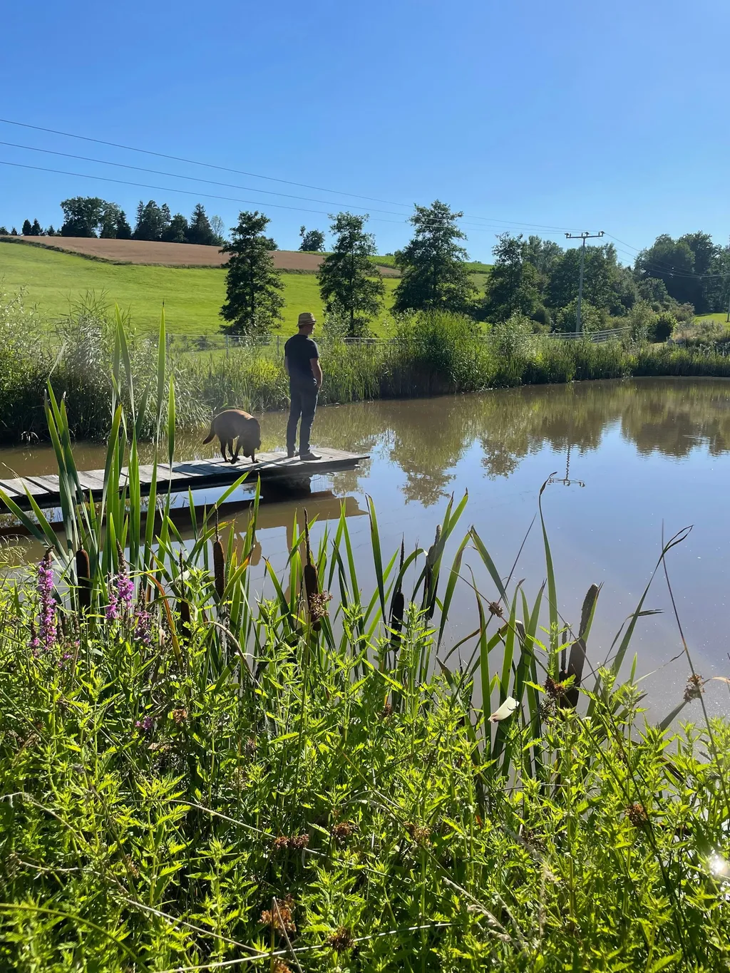 Wilde Heimat 2, Campen am Tinyhaus
