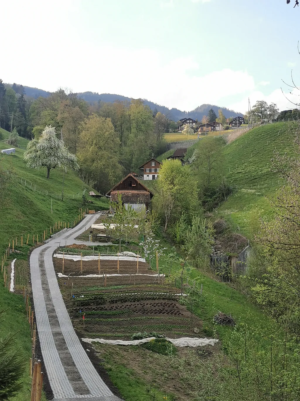 Summerweid in Sarnen
