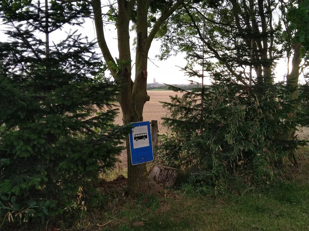 Obstwiese in Ostseenähe bei Wismar
