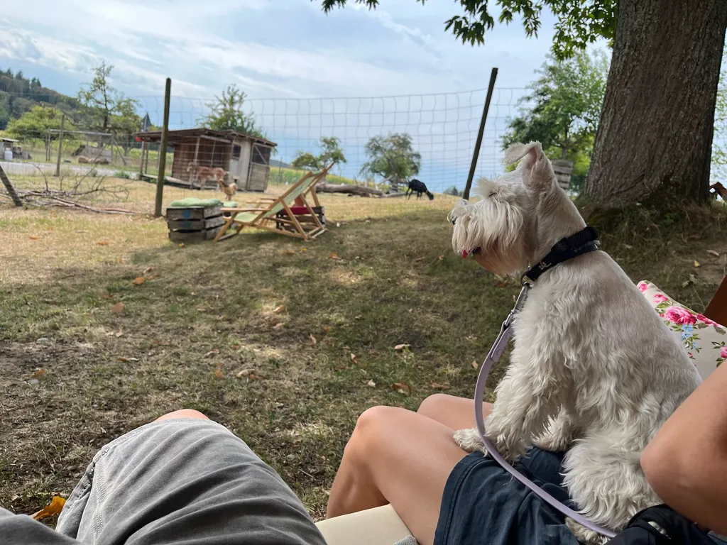 Bild von Quang für den Spot 3697