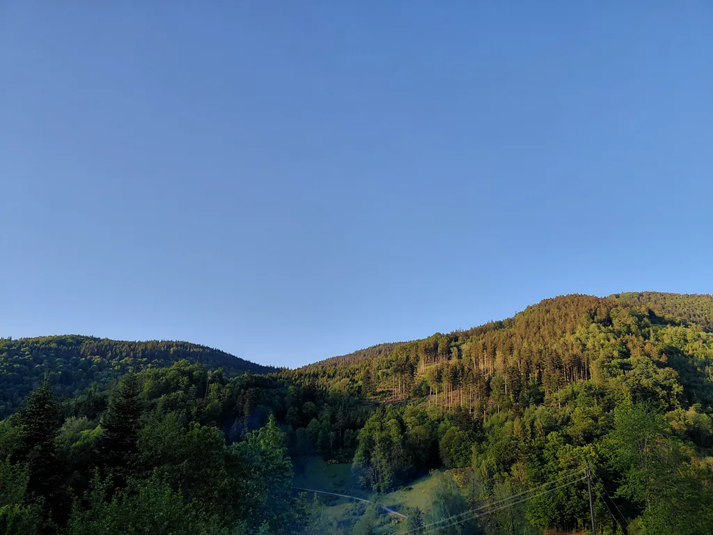 Bild von reto für den Spot 1624