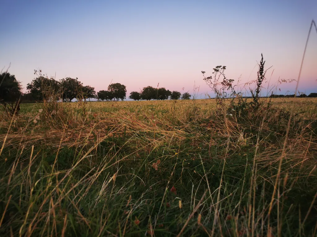 Image by Sara for spot 2278