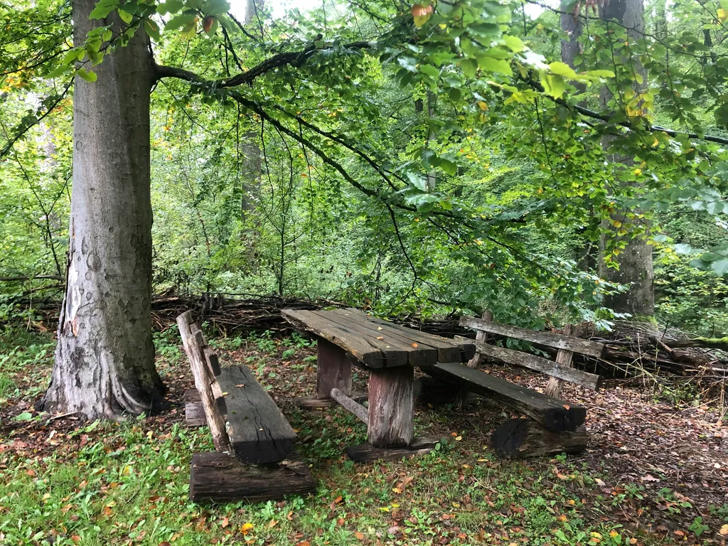 Haus Quelle Hinterhof im Taunuswald