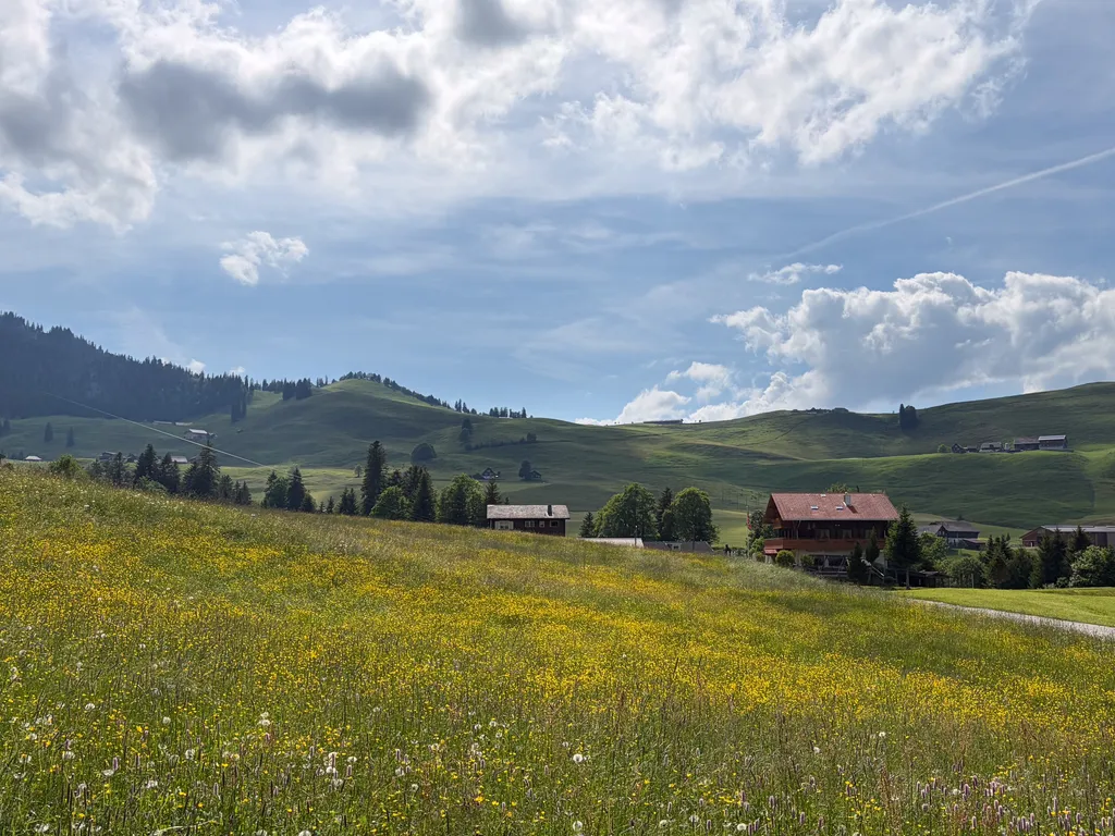 Du hast wunderschönen Blick hinauf zum Ächerlipass und auf die Blumenwiesen im Wirzweli.
