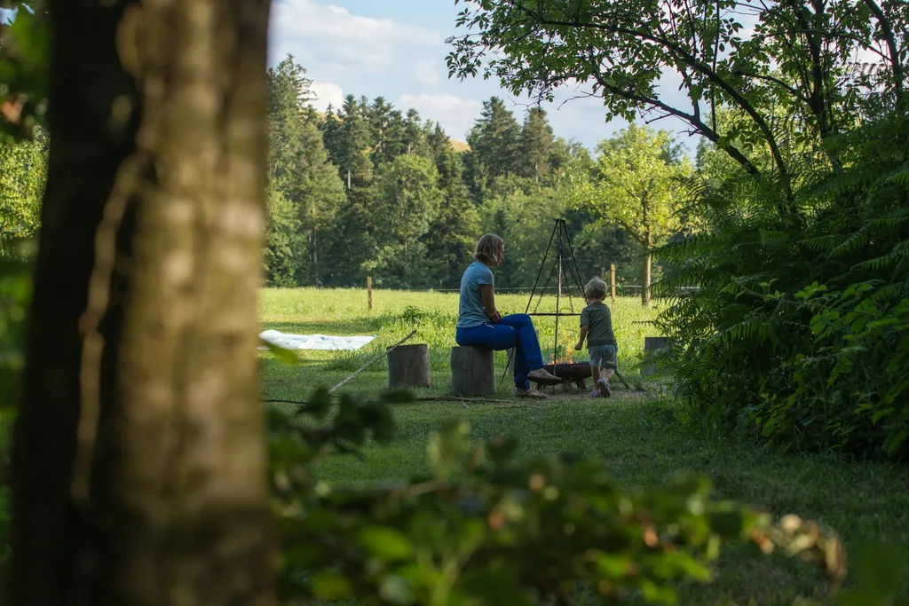 Studenhüsli, Baumallee