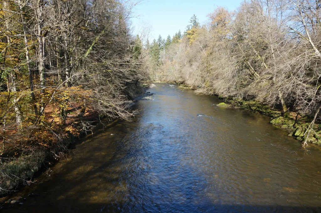 Schönes Plätzchen neben Biohof