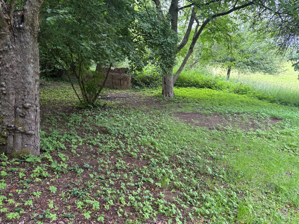 Naturcamp Kadenbach - Übernachten am Lagerfeuer