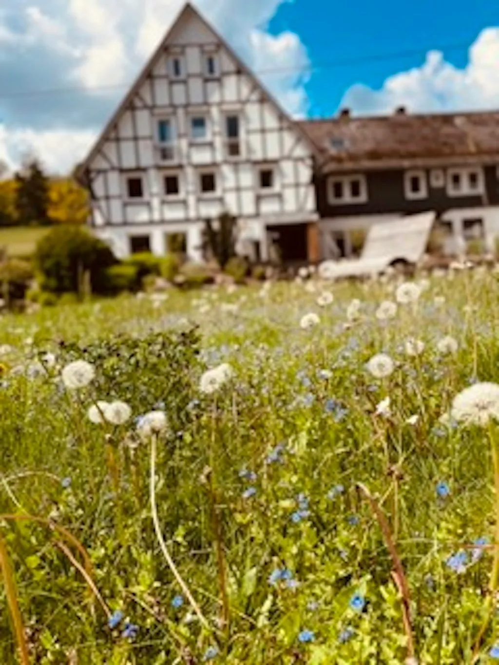 Wald- und Wiesenquartier