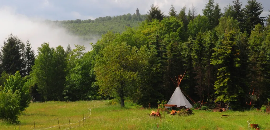 Natürlichkeit & Ruhe im Pfälzerwald