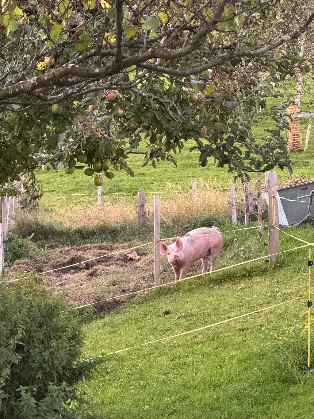 Bild von Daniela für den Spot 171