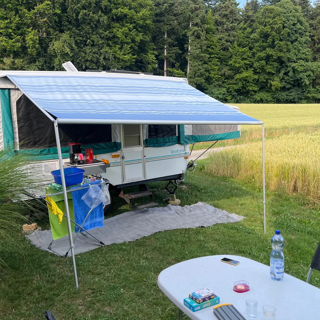 Profilbild von Dominique