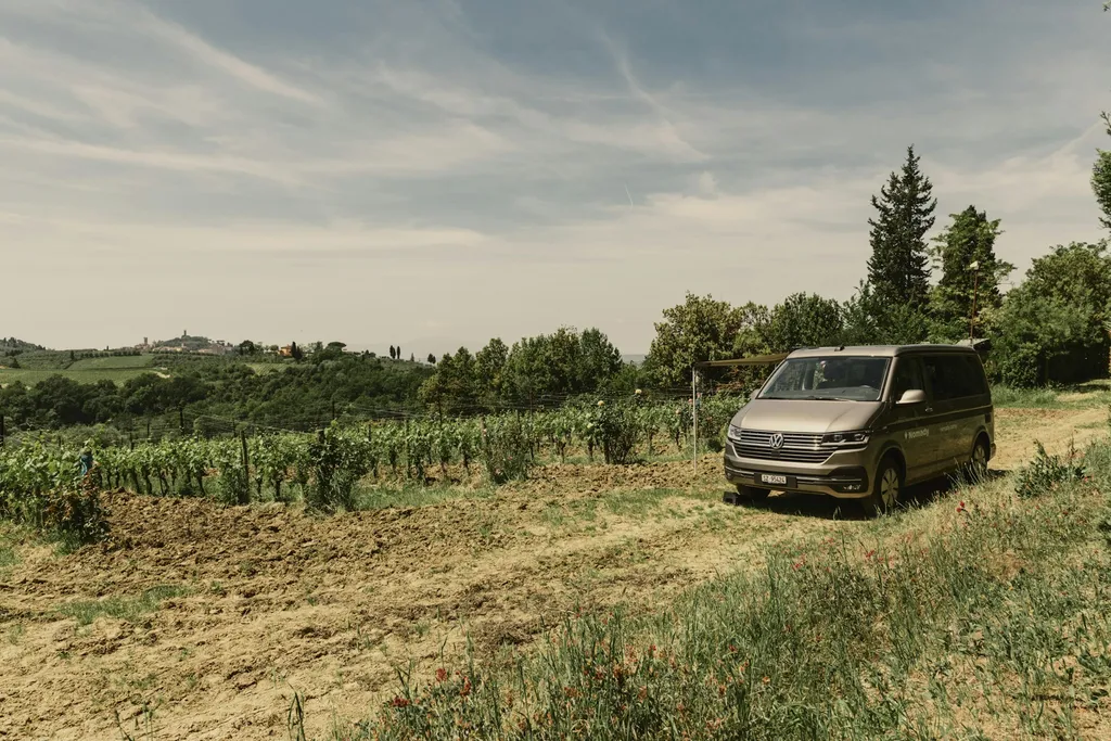 Camp nel vigneto 🍇🍷