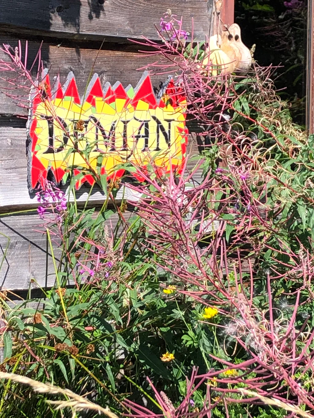 Bild von Anni für den Spot 1306