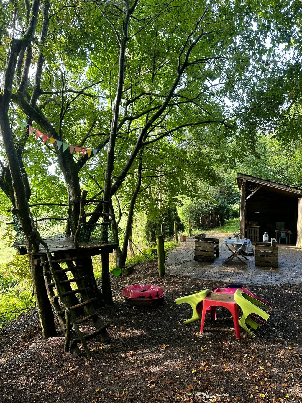 Waldwiese im Hunsrück / Soonwald