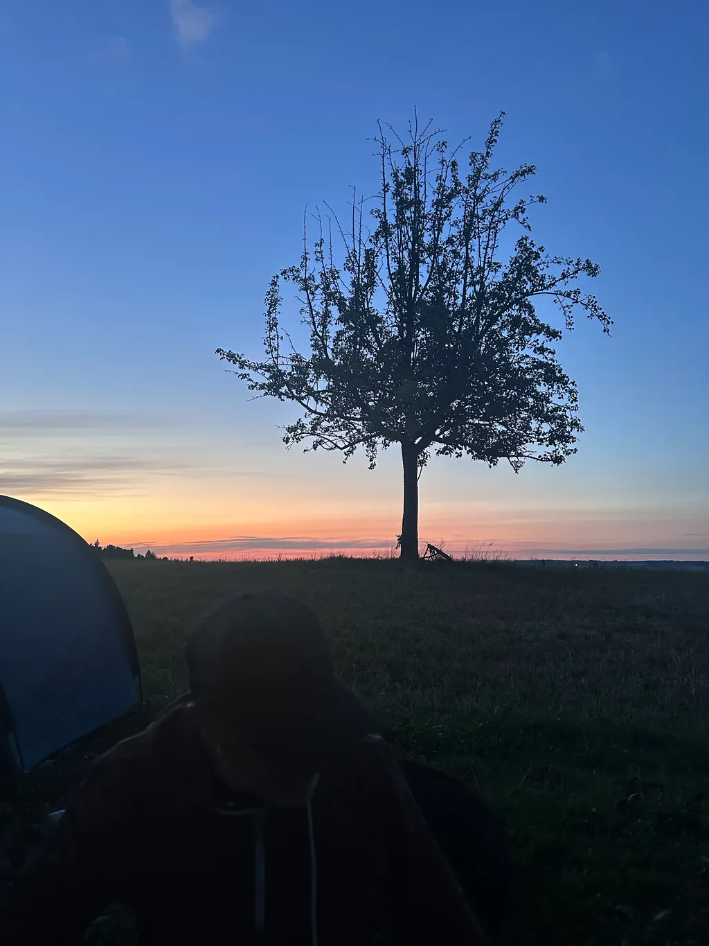 Bild von Meister-Moser für den Spot 1186
