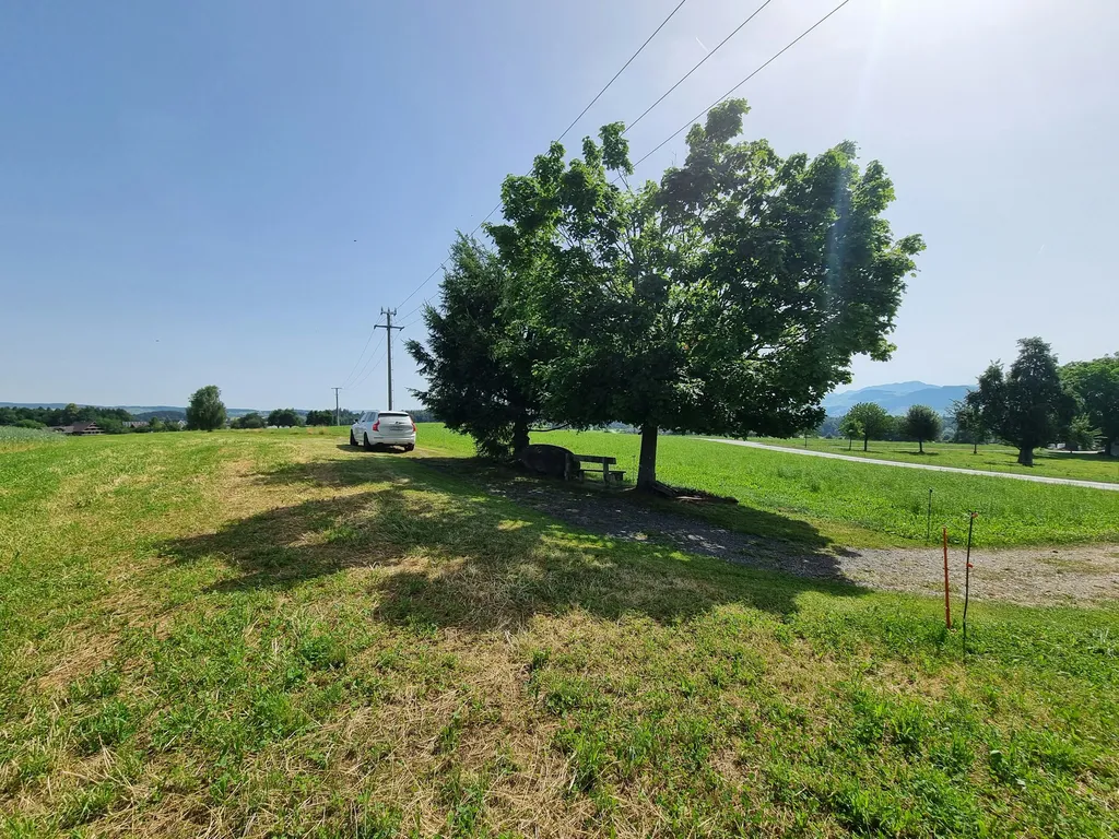 Bänkli von Herrendingen