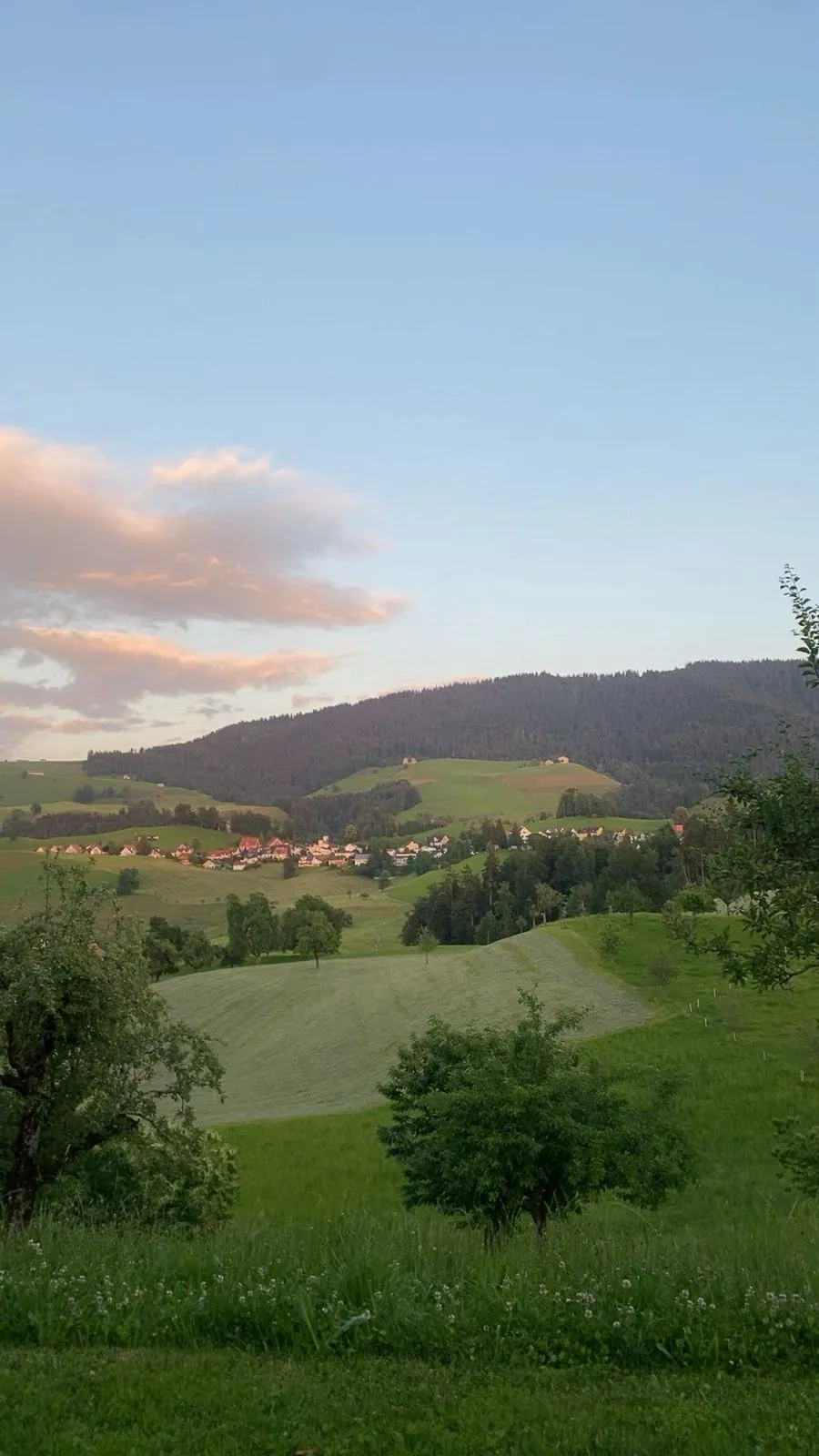 Bild von Fabian für den Spot 1160