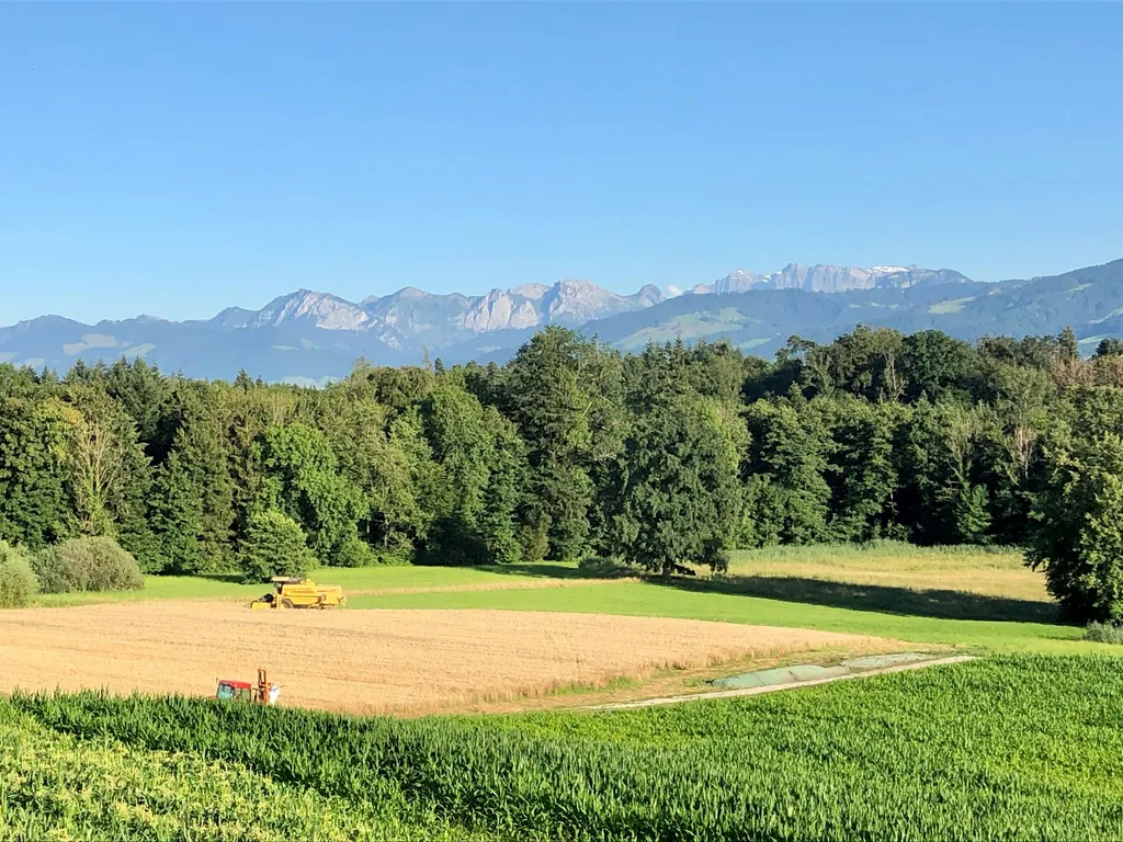 Biohof Aegerten oberhalb Zürichsee