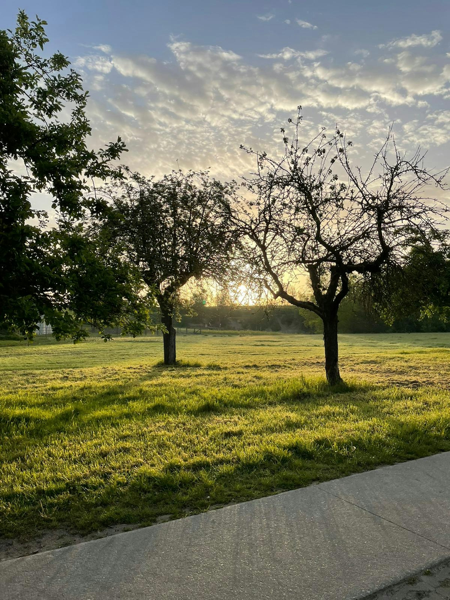 Streuobstwiese, Ehemalige Sandgrube