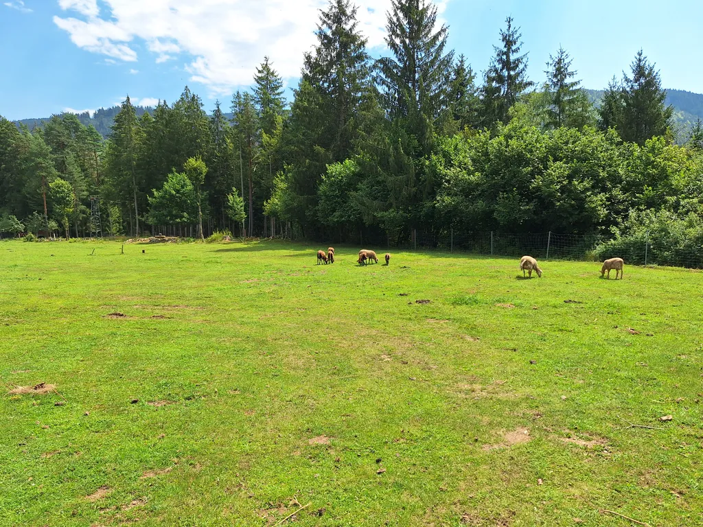 Bauernhofcamping