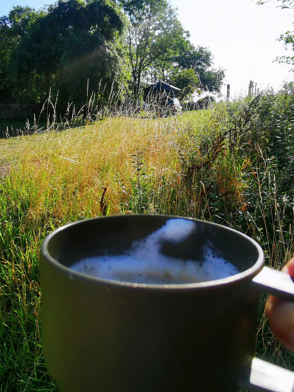 Image by Sara for spot 2278