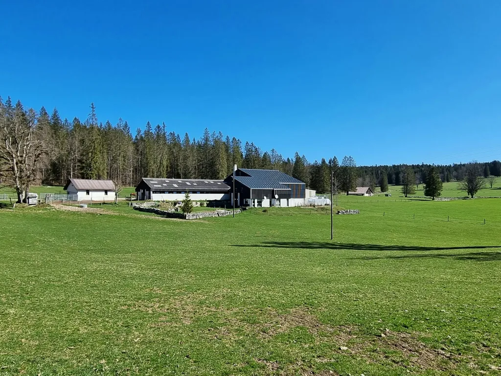 La Prise-Fège - "Clairière"