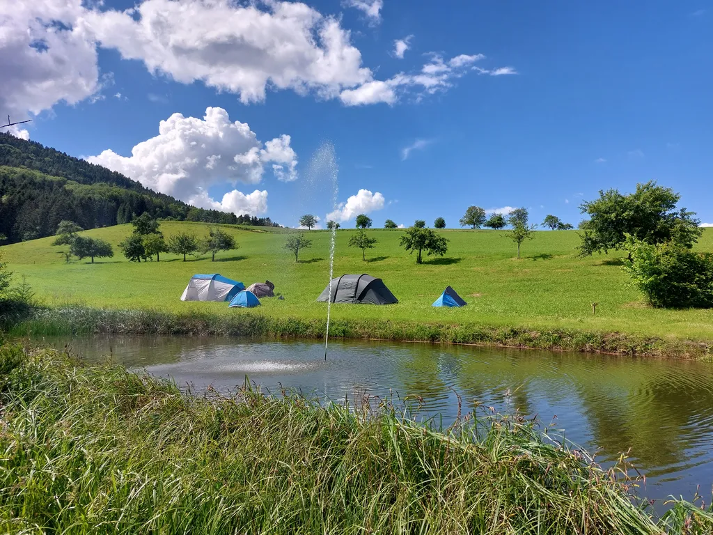 Blick vom Steg zwischen Bach und Teich auf die Zeltwiese