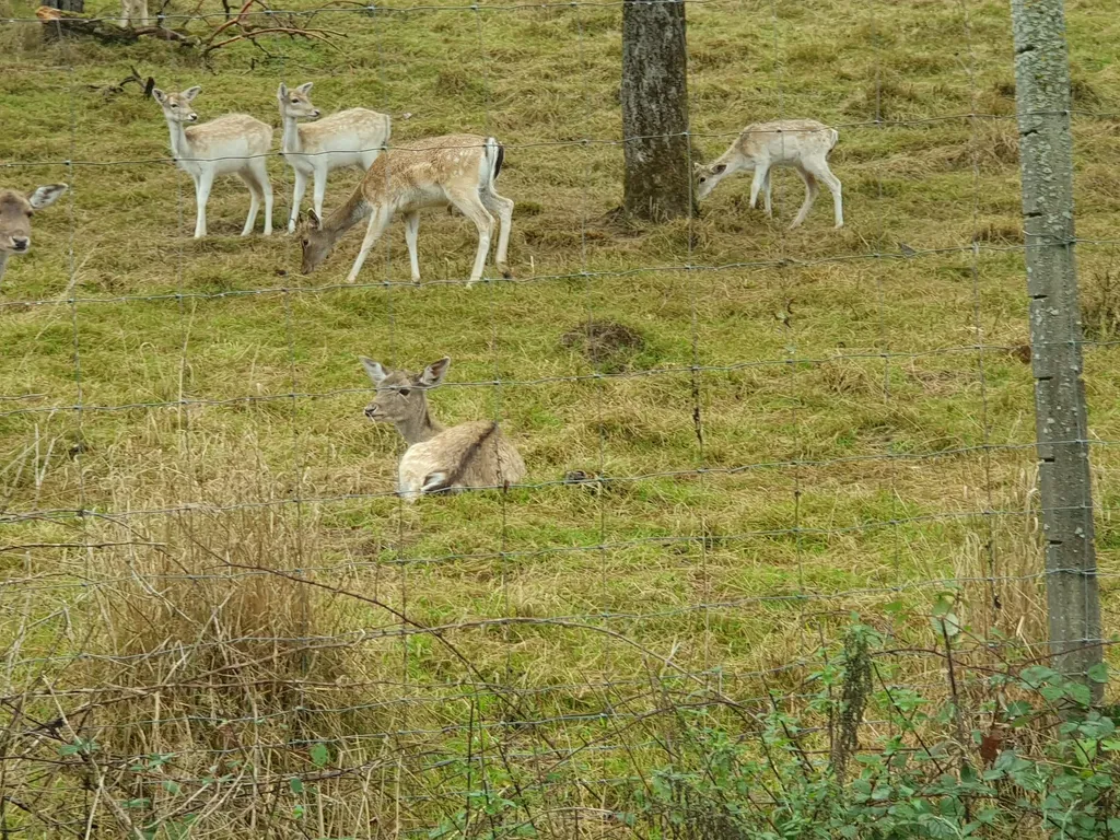 Bild von Sandy & Roli für den Spot 3689