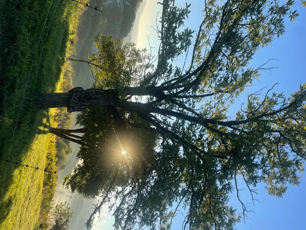 Bild von Susanne für den Spot 904