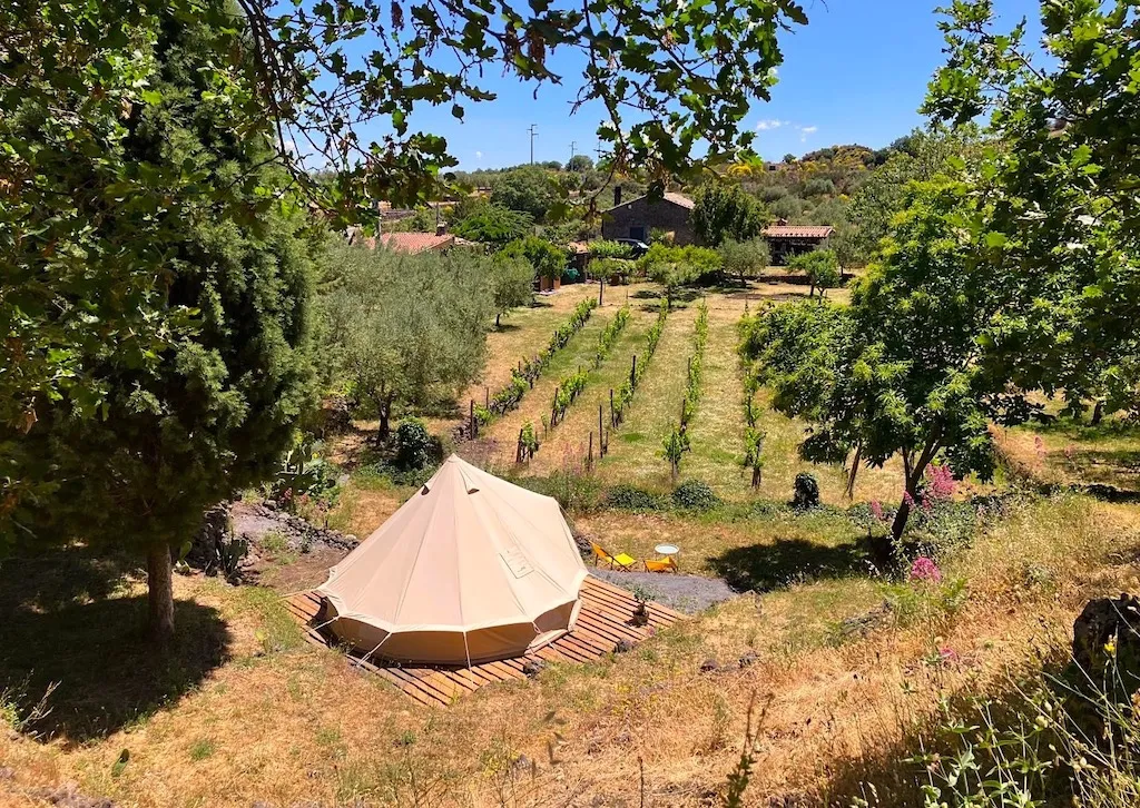 Camp Etna Verde Vine & Olives