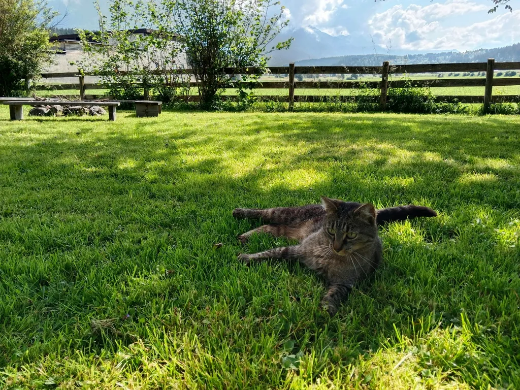 Unter Obstbäumen + gratis Angebote